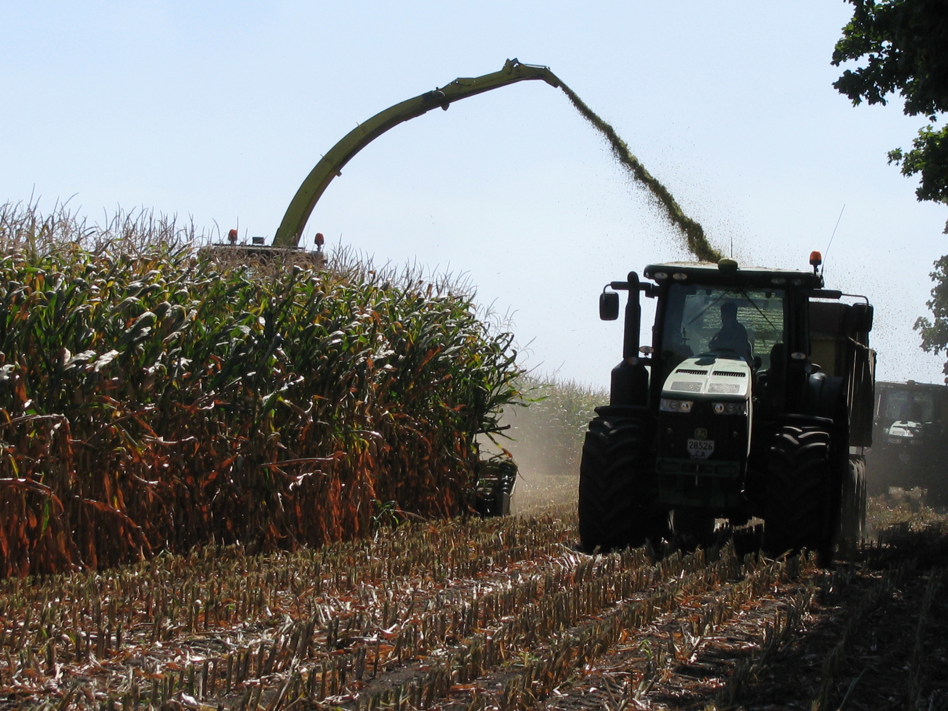 Silage