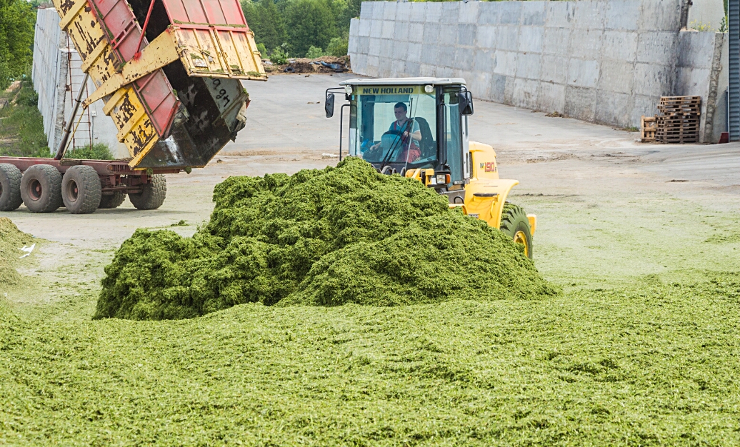 Silage2