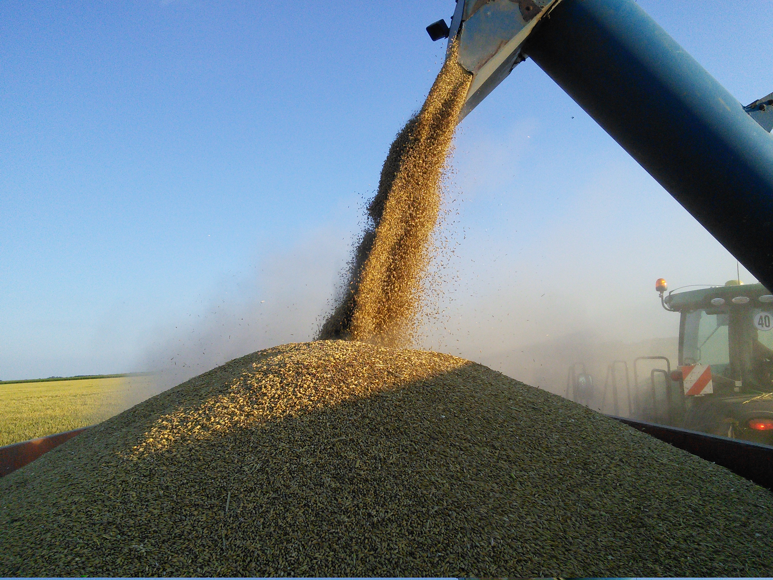 Barley Combining 2016 3